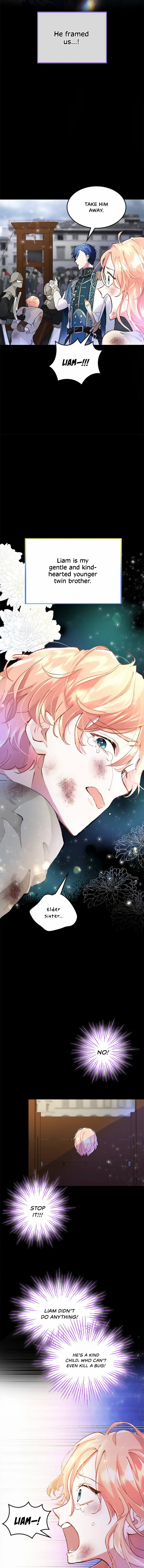 Chapter 1 - Image 3