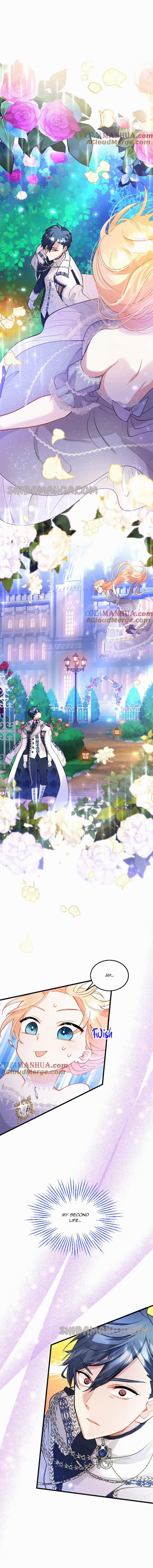 Chapter 19 - Image 2