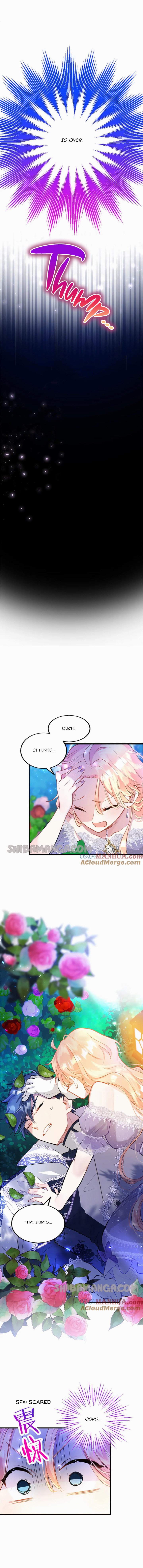 Chapter 19 - Image 3