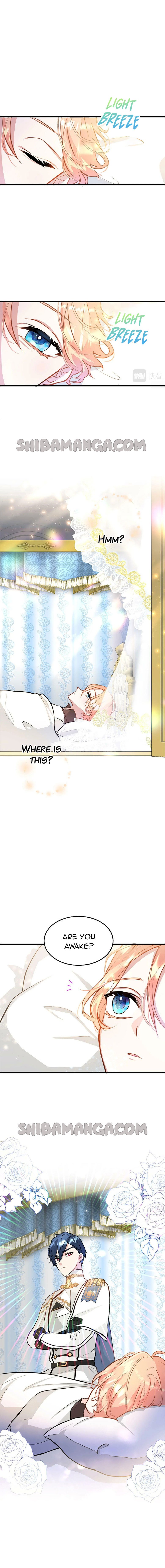 Chapter 8 - Image 10