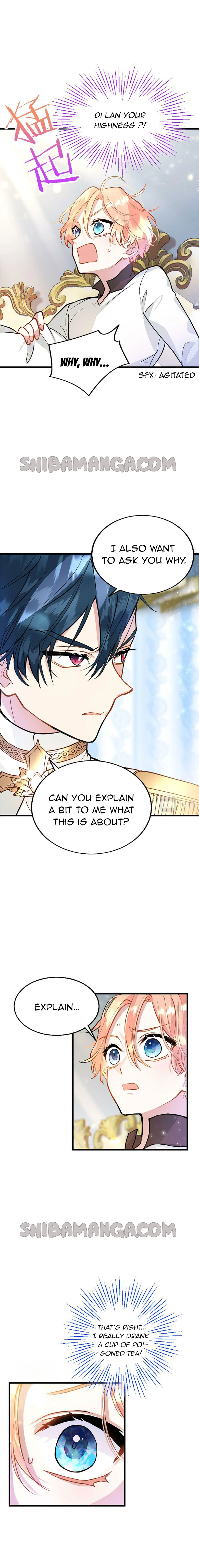 Chapter 8 - Image 11