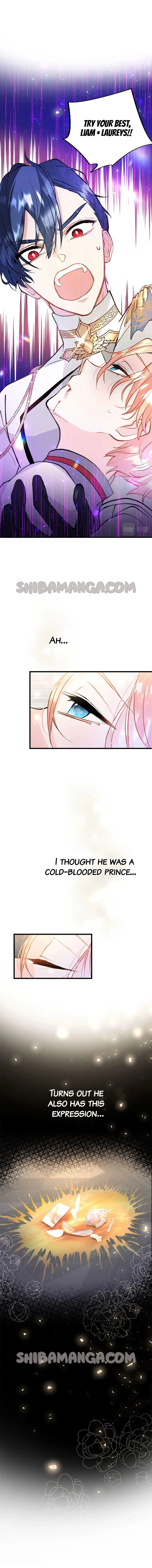 Chapter 8 - Image 2