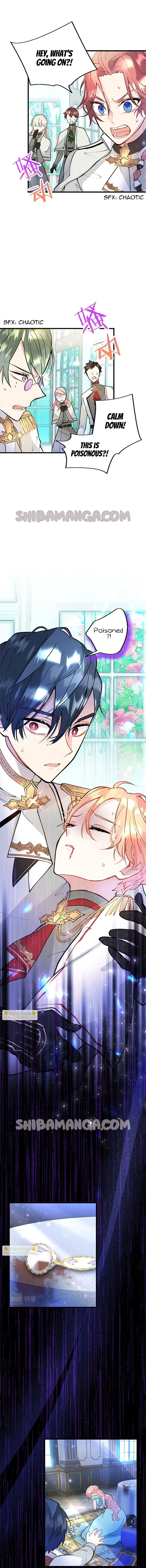 Chapter 8 - Image 3