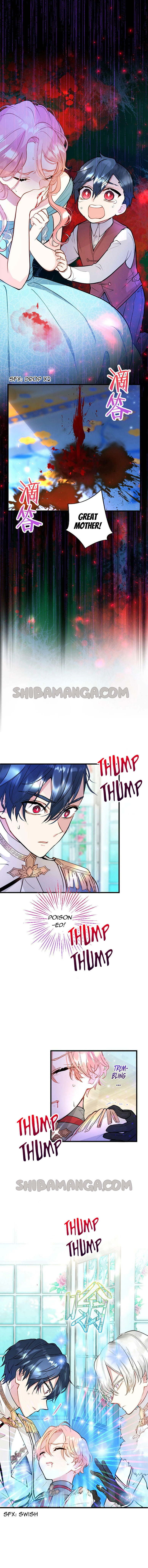 Chapter 8 - Image 4