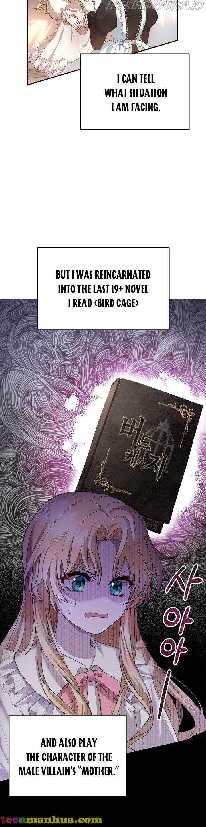 Chapter 1 - Image 21