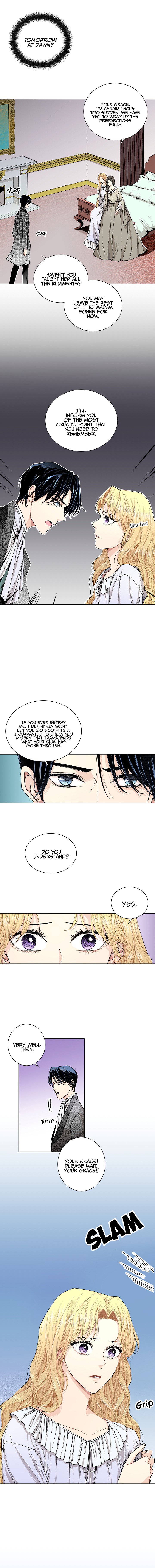 Chapter 6 - Image 5