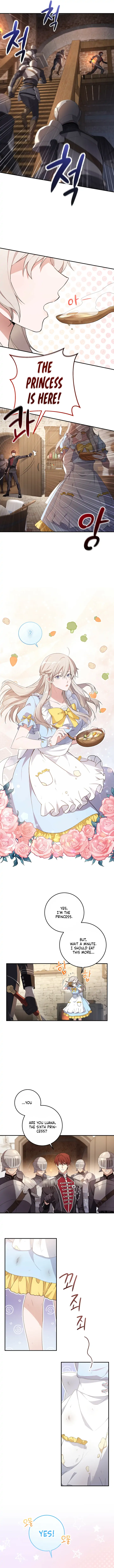 Chapter 1 - Image 2