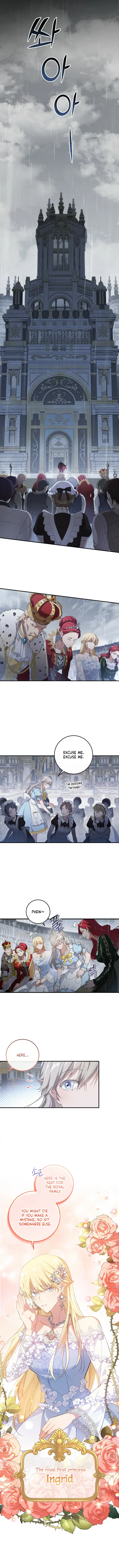 Chapter 1 - Image 4