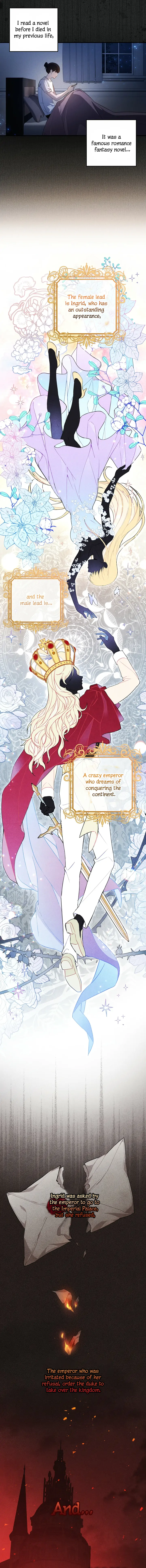 Chapter 1 - Image 6