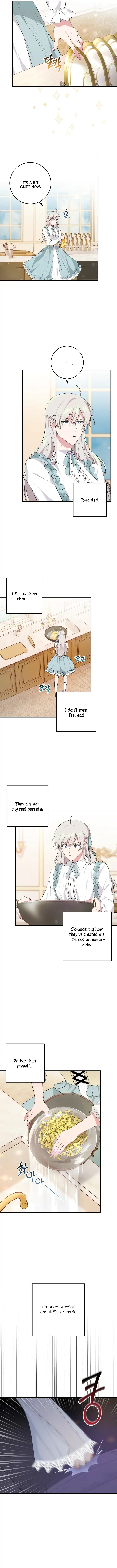 Chapter 15 - Image 5