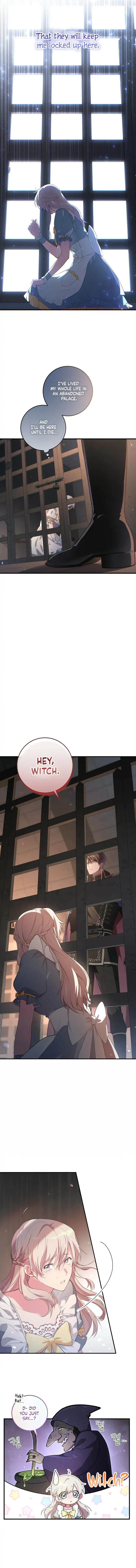 Chapter 2 - Image 9