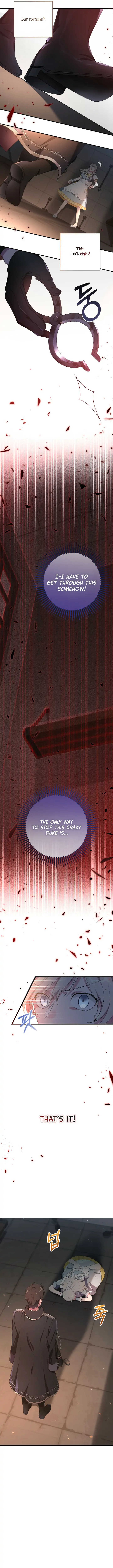 Chapter 3 - Image 4