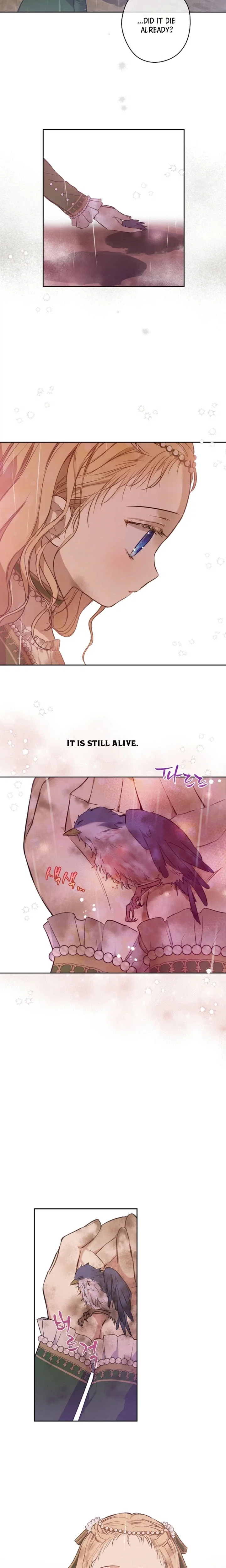 Chapter 3 - Image 10