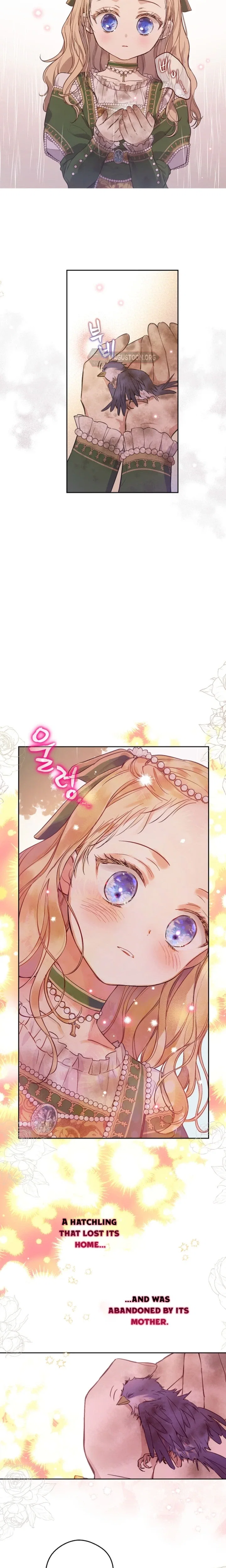 Chapter 3 - Image 11