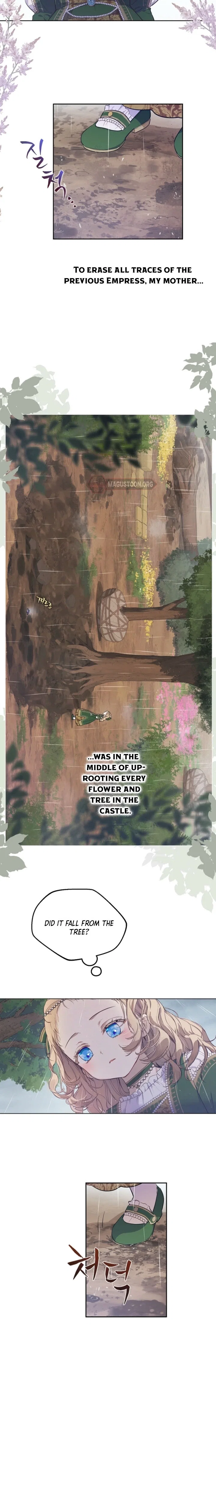 Chapter 3 - Image 6