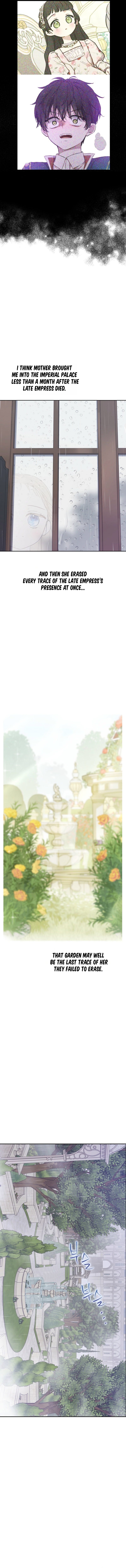 Chapter 8 - Image 2