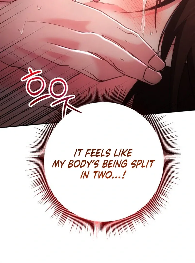 Chapter 1 - Image 24