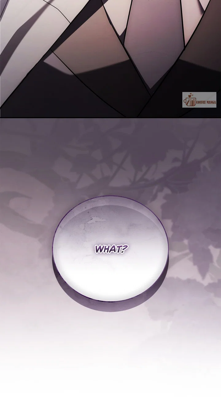 Chapter 2 - Image 4