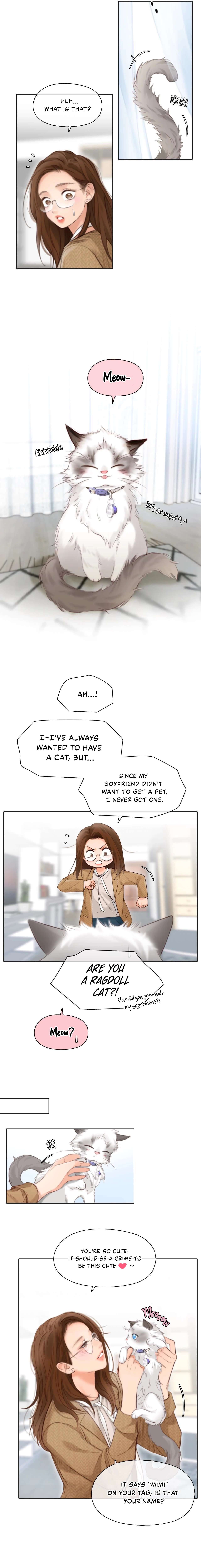 Chapter 4 - Image 6