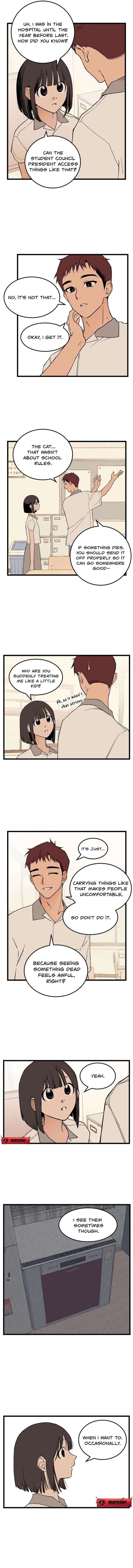 Chapter 3 - Image 10