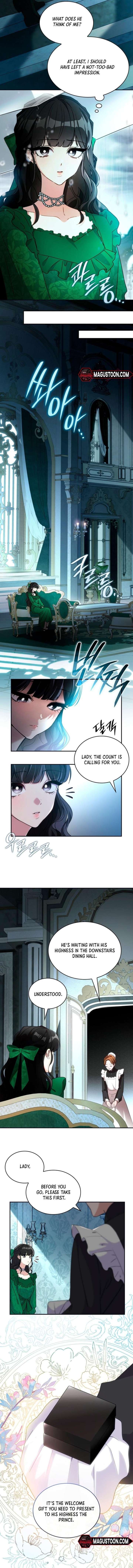 Chapter 2 - Image 4