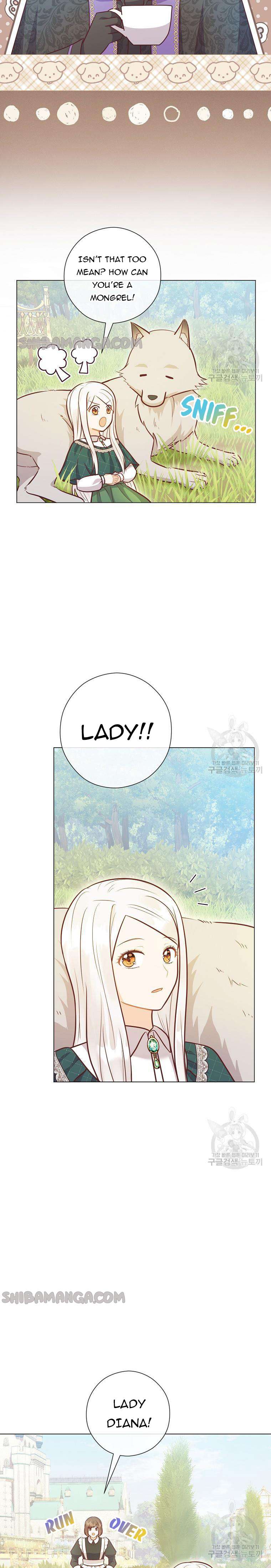 Chapter 41 - Image 3
