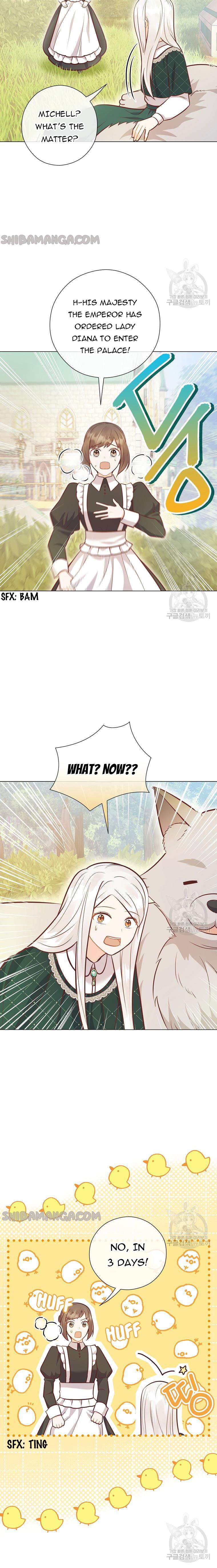 Chapter 41 - Image 4