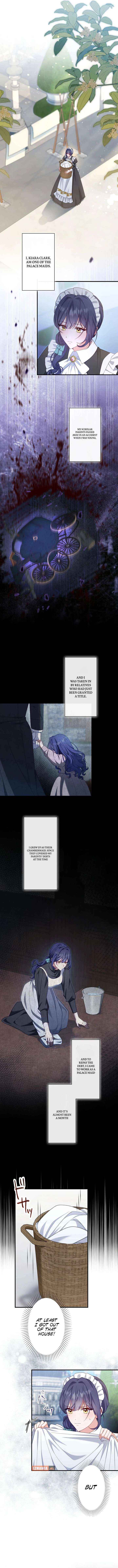 Chapter 1 - Image 5