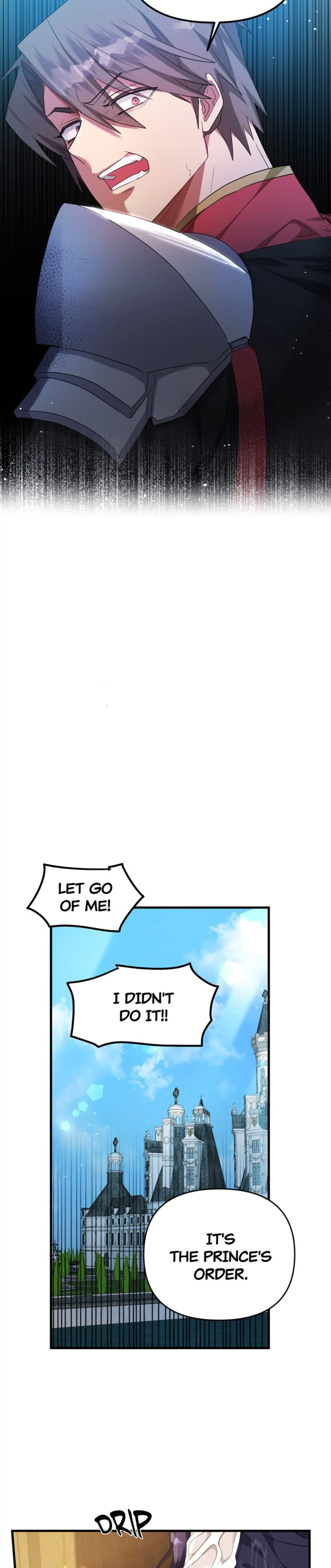 Chapter 1 - Image 29