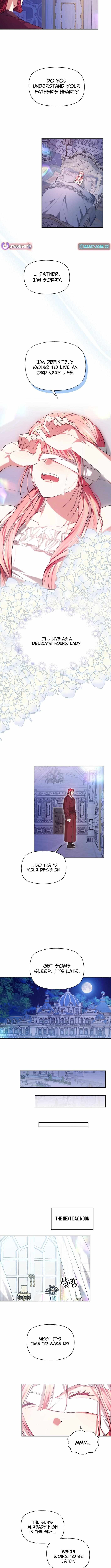 Chapter 1 - Image 11