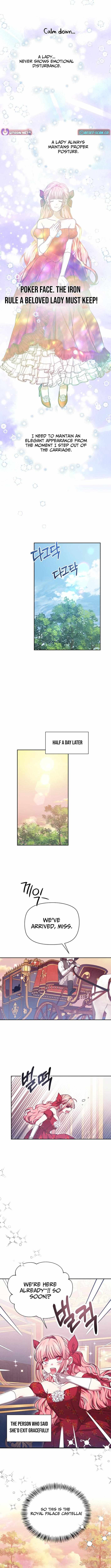 Chapter 1 - Image 15