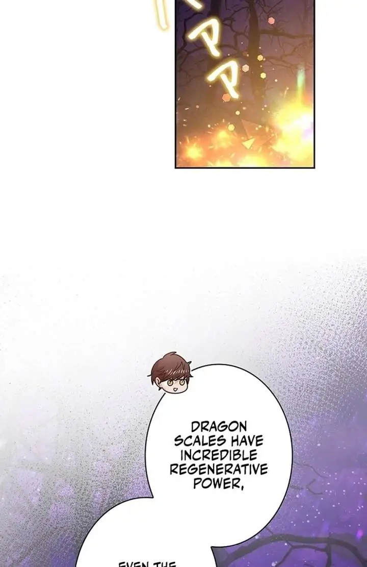 Chapter 2 - Image 214