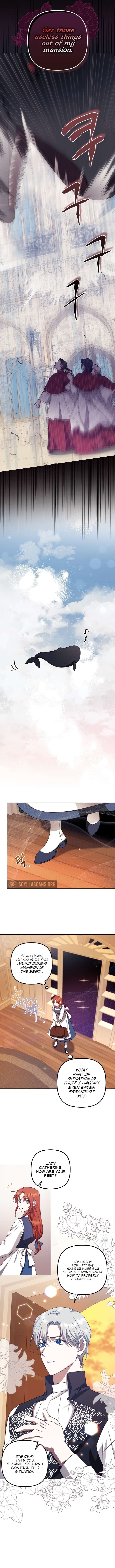 Chapter 16 - Image 6
