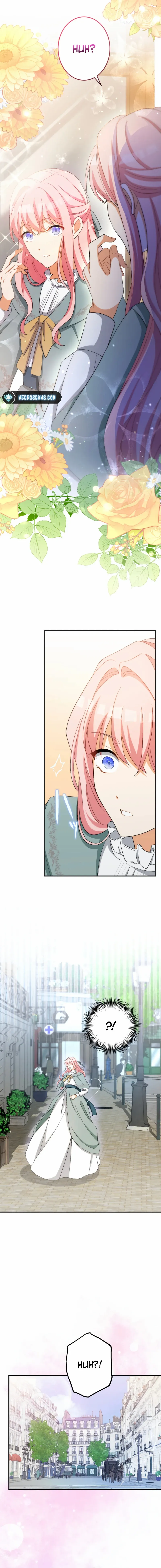 Chapter 1 - Image 24