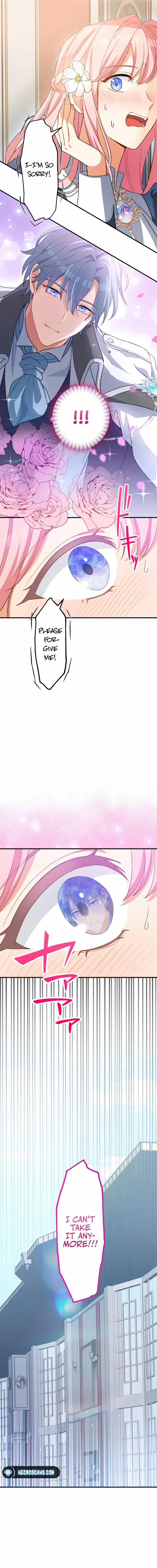 Chapter 1 - Image 7