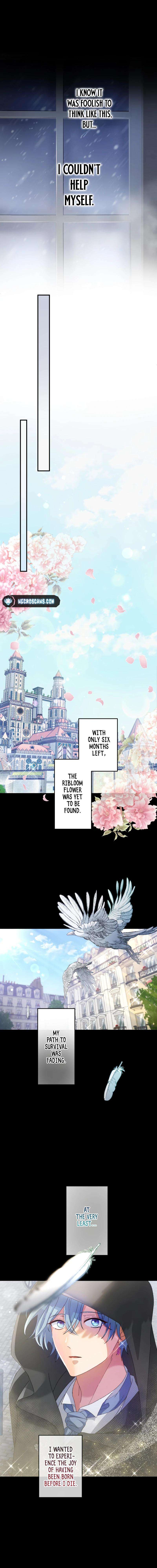 Chapter 10 - Image 12