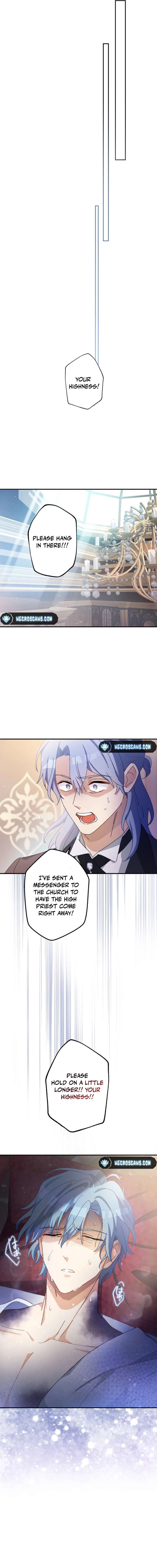 Chapter 17 - Image 21