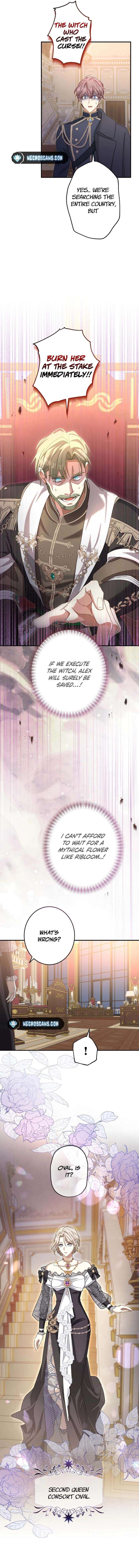 Chapter 19 - Image 15