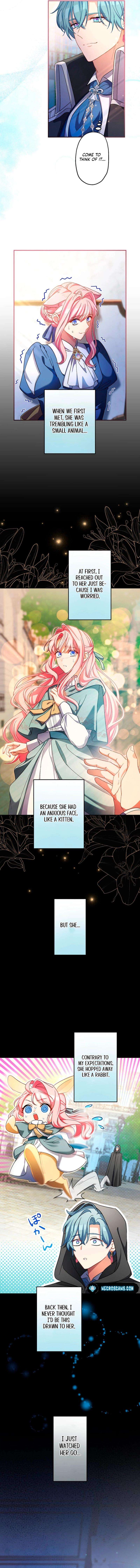 Chapter 29 - Image 5