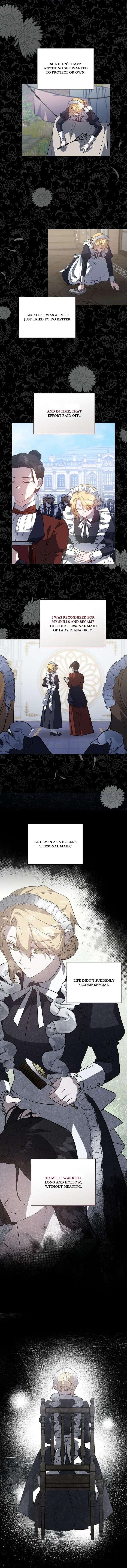 Chapter 1 - Image 3