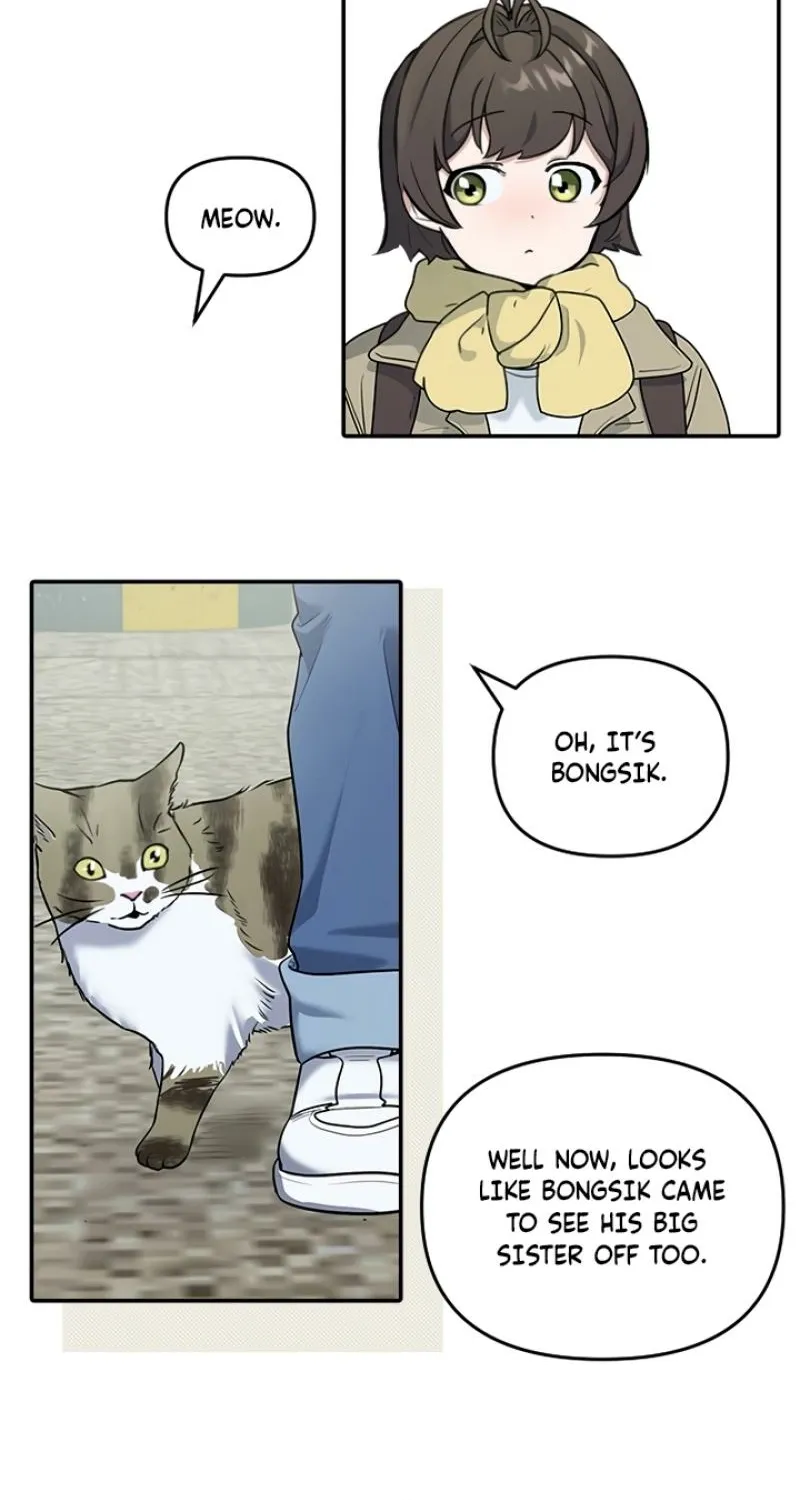 Chapter 1 - Image 34