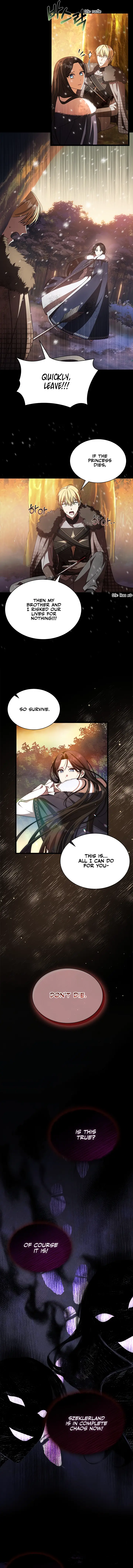 Chapter 1 - Image 15