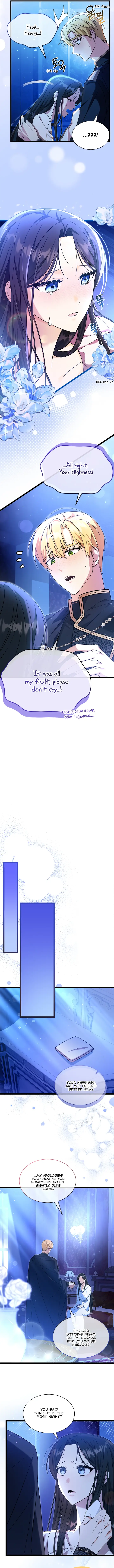 Chapter 2 - Image 4