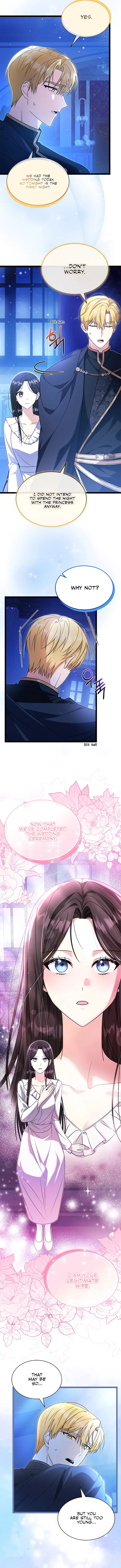 Chapter 2 - Image 5