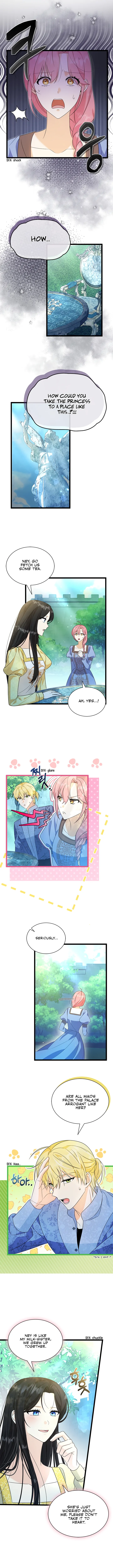 Chapter 4 - Image 7