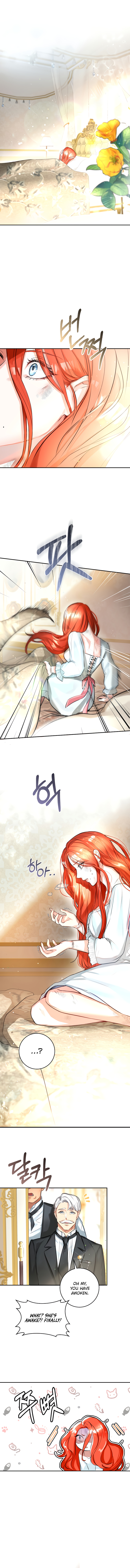 Chapter 1 - Image 4