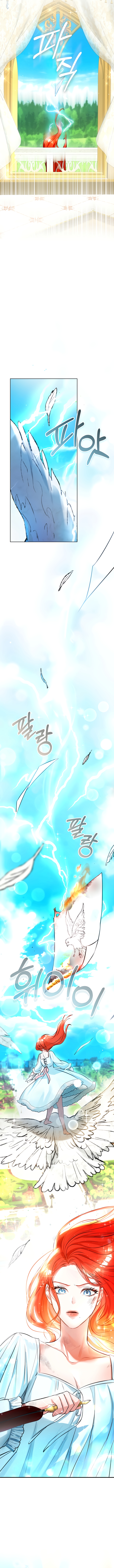 Chapter 1 - Image 8