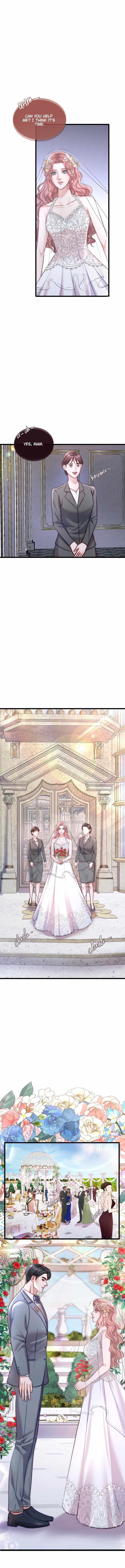 Chapter 15 - Image 5