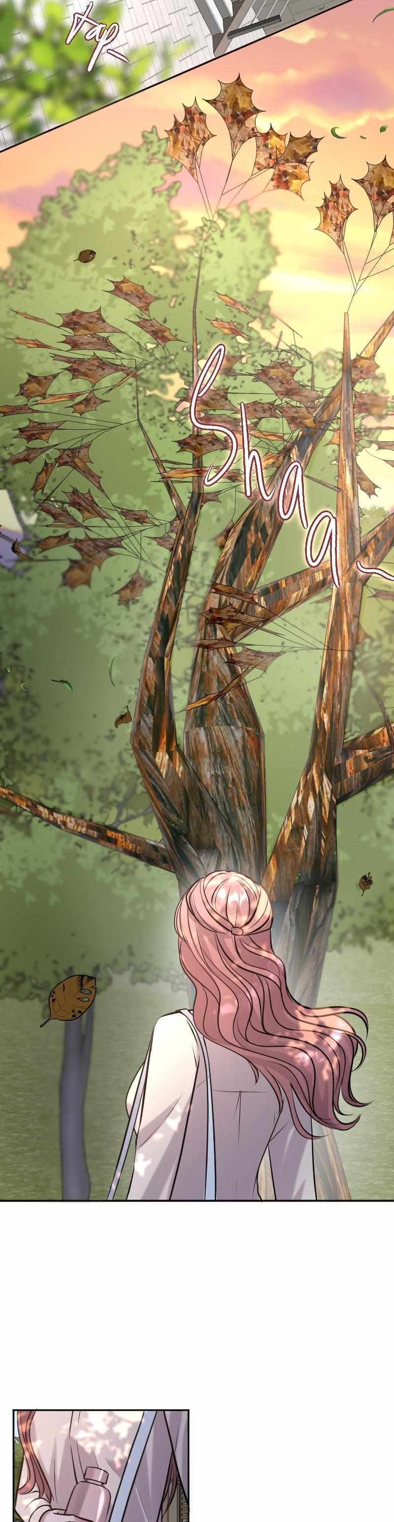 Chapter 2 - Image 5