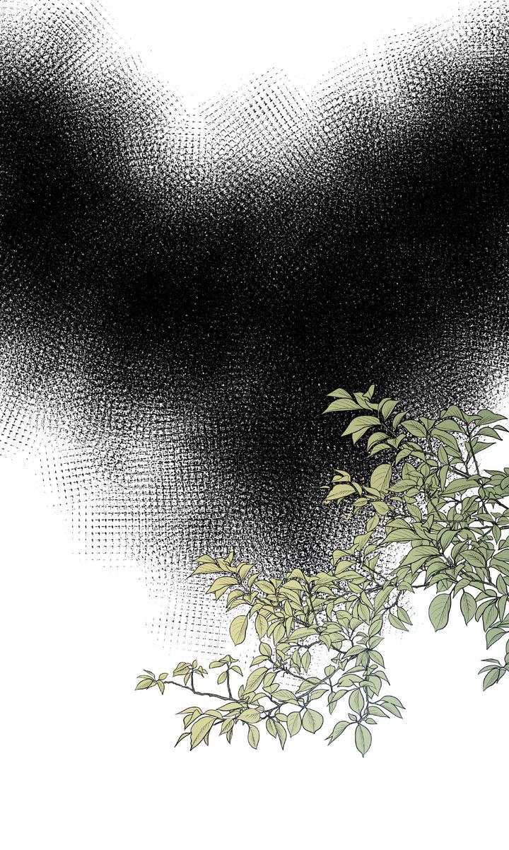 Chapter 26 - Image 50